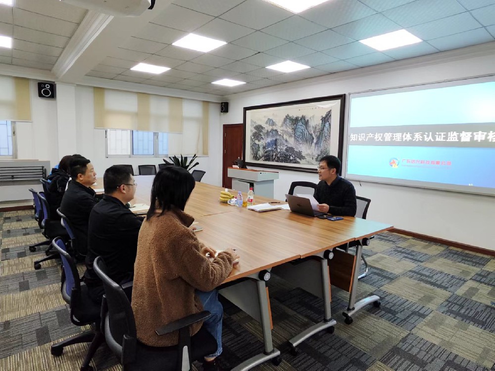 南宫ng·28科技完成2024年度知識產權管理體系監督審核